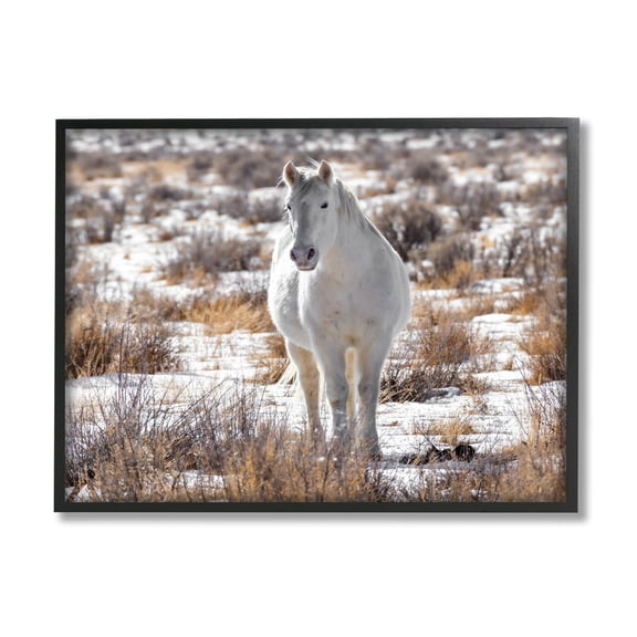 Winter Snow Horse Wildlife Animals & Insects Photograph Black Framed Art Print Wall Art