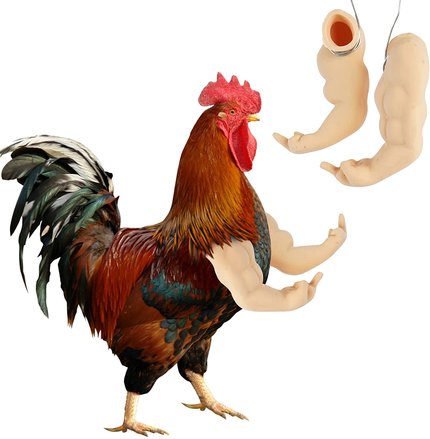 Muscle Chicken Arms Toys for Chickens to Wear, Funny Costume Fist Fighting  Arms Toy for Pet Prank Themed Party, Artificial Arms Costume Cosplay for