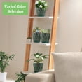 thumbnail image 5 of FOUKUS 6 inch Plastic Plant Pots: 5 Pack Indoor Planters with Drainage and Tray Outdoor Flower Pots, Green Gold, 5 of 6