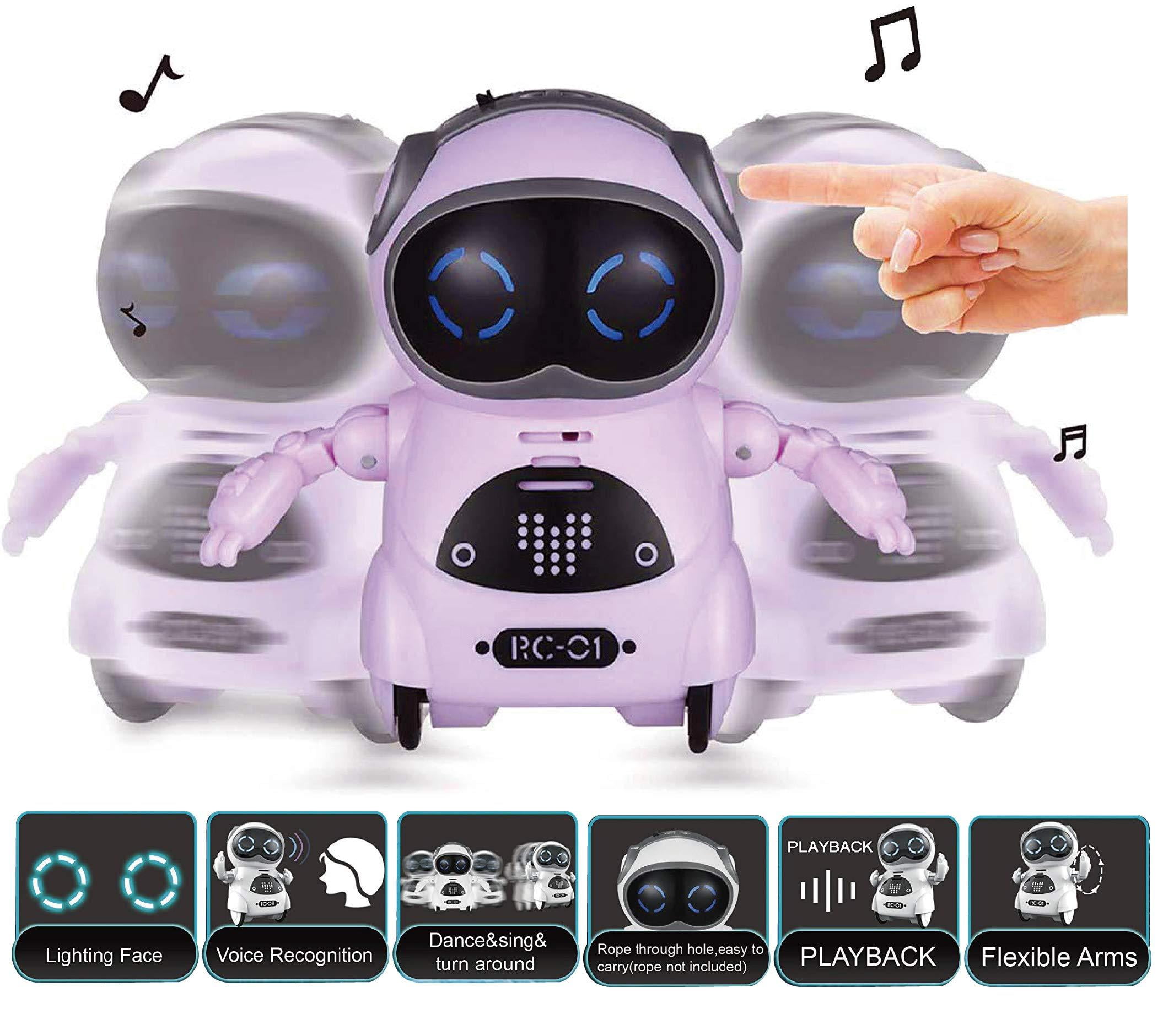 mini pocket robot