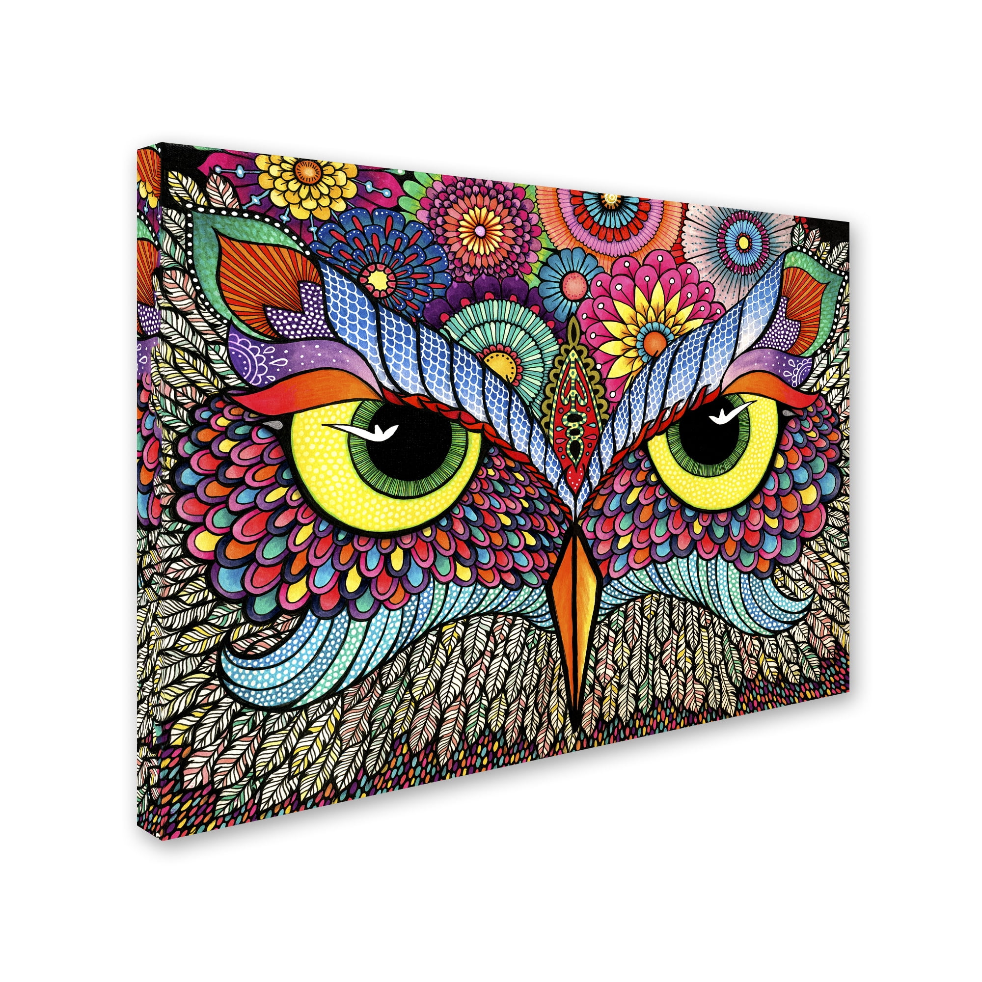 Trademark Fine Art "Owl Face" Canvas Art by Hello Angel