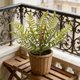 thumbnail image 1 of Plantas artificiales para la decoración del hogar | Vegetación artificial para interiores y exteriores, 1 of 6