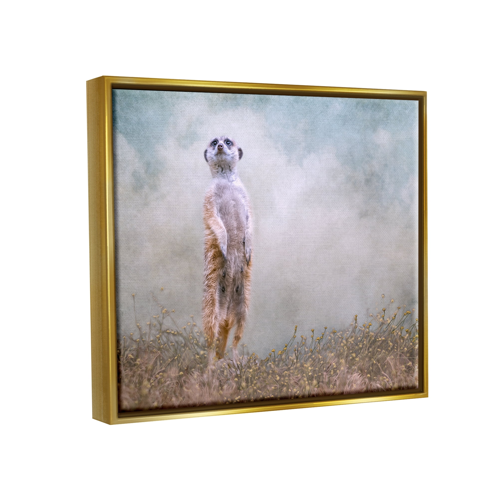 Stupell Meerkat Watching Prairie Nature Animals & Insects Photography Gold Floater Framed Art Print Wall Art