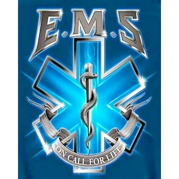 Paint by Numbers Kit for Adults -Medical Rescue (3) - Beginner DIY Color by Number Set on Canvas Acrylic Oil Paintings Crafts, Gifts, Home Wall Decor (12 X 16 inches)-