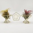 thumbnail image 5 of Zhaomeidaxi 3Pcs Geometric Air Plant Holder Rack Metal Plants Stand Planter Shelves Living Decor Pot Containers Modern Classic, 5 of 6