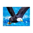 thumbnail image 1 of de pegado de de imitación de taladro parcial de pintura de diamante 5D DIY para decoración de paredes Águila Gloria Kit de pintura de diamante, 1 of 6