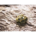 thumbnail image 2 of Plank, Savanah 14x12 Gold Ornate Wood Framed with Double Matting Museum Art Print Titled - Vintage glass float, 2 of 4