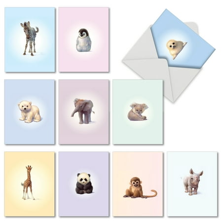 M6726OCB ZOO BABIES' 10 Assorted Thank You Notecards with Envelopes by The Best Card