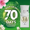 thumbnail image 4 of (6 pack) Air Wick Plug-in Scented Oil Refills Morning Lily and White Flowers, 2 Count, 4 of 10