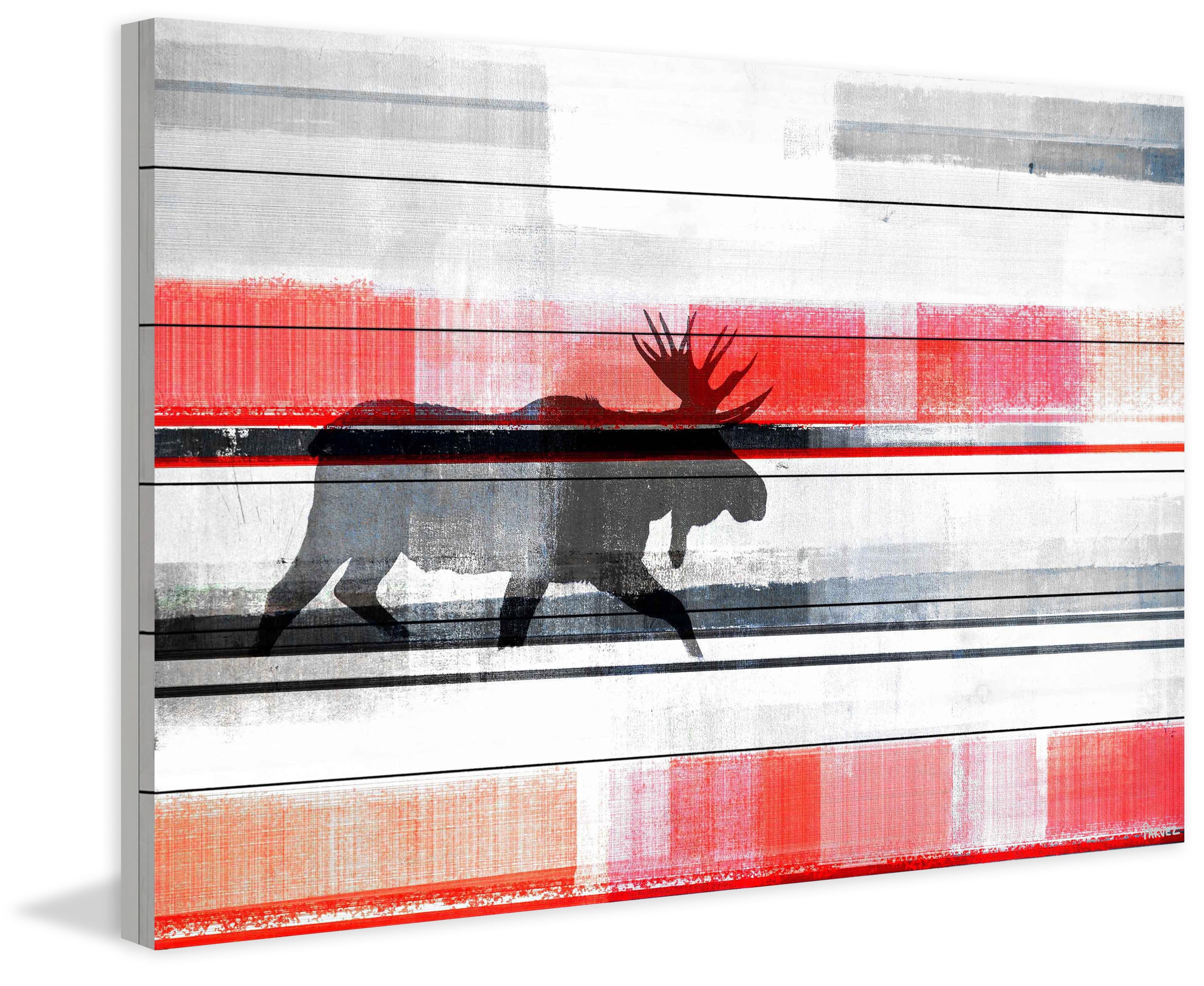 Parvez Taj Lone Moose White Wood Wall Art, 20" x 30"