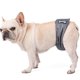 thumbnail image 5 of Pañales Para Perros Lavables Reutilizables Perro Y S Cómodos Pañales Para Perros -yoguS, 5 of 5