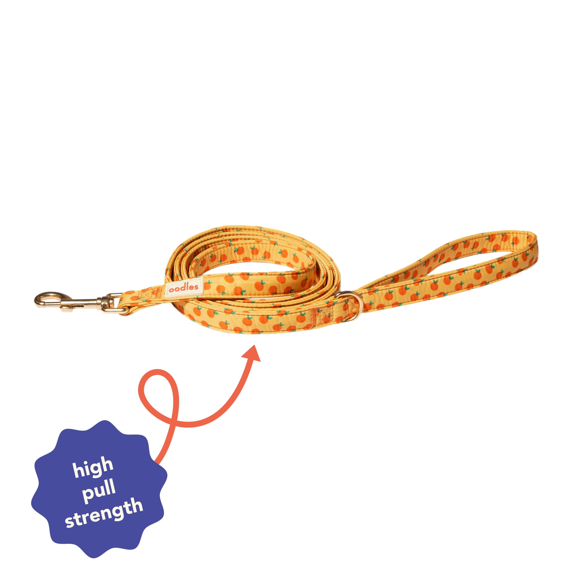 Oodles Sweet Citrus Dog Walking 3 Piece Set, Large