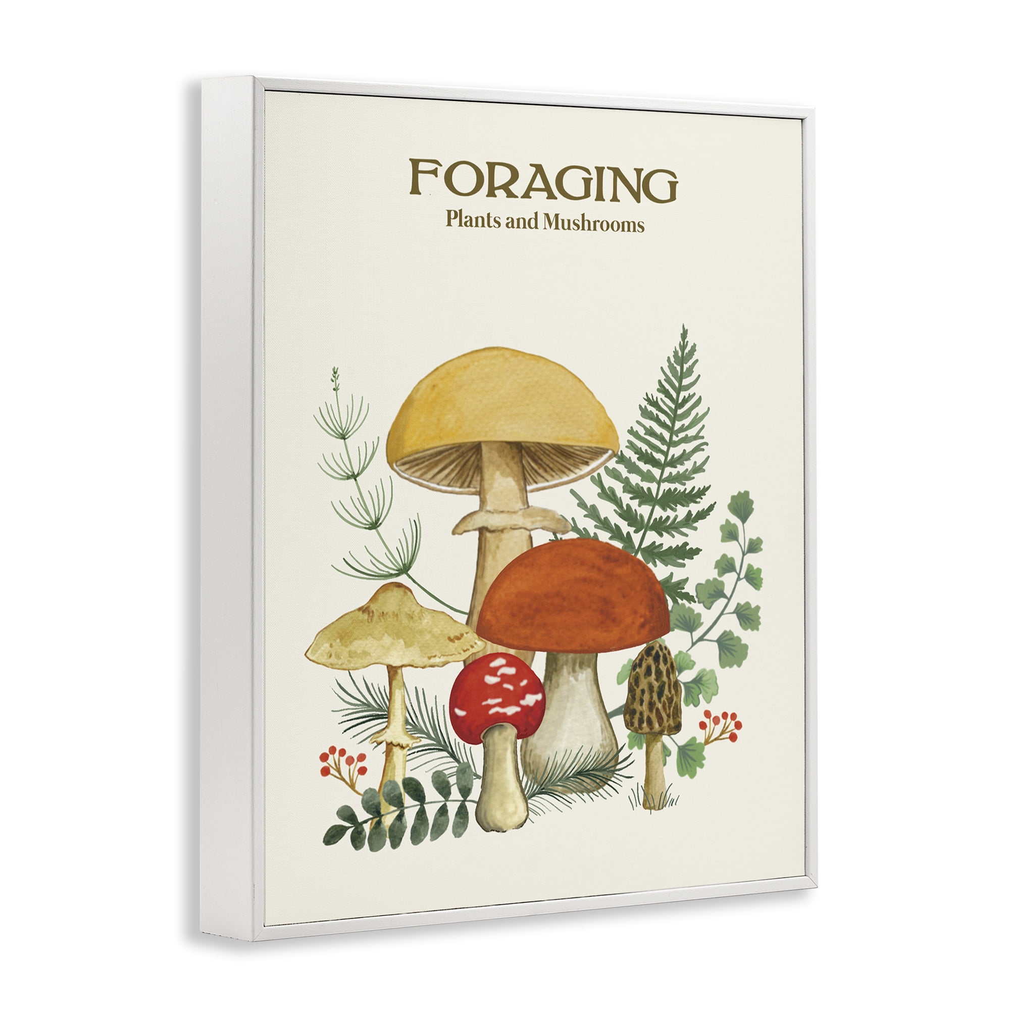Stupell Industries Vintage Foraging Mushrooms Botanical & Floral Painting White Framed Art Print Wall Art, 24 x 30