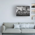 thumbnail image 2 of Trademark Fine Art David Drost Black And White Desert View I Canvas Wall Art - 35x47, 2 of 5