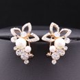 thumbnail image 4 of Guardurnaity 1 par de pendientes de uva con flor de perla y diamantes de imitación de cristal para mujer, joyería para fiesta y boda Ropa, zapatos y accesorios Miscelánea, 4 of 6