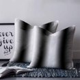 thumbnail image 2 of 24x24 Pillow Covers Set of 2, White Black Throw Pillow Covers Decorative Couch Cushion Case, Modern Gradient Vertical Stripes Geometric Microfiber Square Pillowcases for Bedroom Car Living Room, 2 of 7