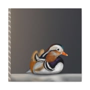 Mandarin Duck Reflection - Canvas