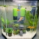 thumbnail image 5 of Methold Filtro de esponja para acuario, filtro para tanque de peces, Mini bomba de filtro para tanque de peces, esponja para acuario con bomba Bombas de aire para acuarios, 5 of 6