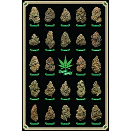 Frame Usa Best Buds Poster 24x36 Psa010270 Frame Usa Best Buds Poster 24x36 Psa010270