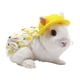 thumbnail image 3 of Conjunto De Ropa De Conejo, Accesorios De Correa Para Mascotas, Conjunto De Disfraces De Animales De Moda Encantadores Serendint PT002497-04, 3 of 6