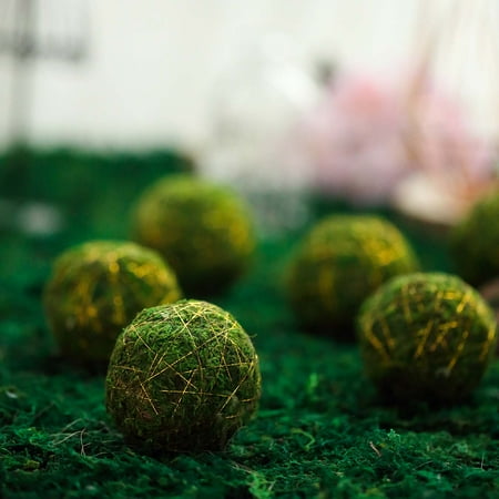 Balsacircle 6 Pcs 3 Inch Green Natural Moss Balls With Gold String