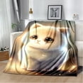 thumbnail image 1 of Couverture Ragdoll Chat Persan Calico Chat Garfield Couverture Douce pour Maison Chambre Lit Canapé Couverture Enfants, 1 of 6