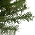 thumbnail image 4 of Northlight 3' Medium Black River Pine Artificial Christmas Tree - Unlit, 4 of 5