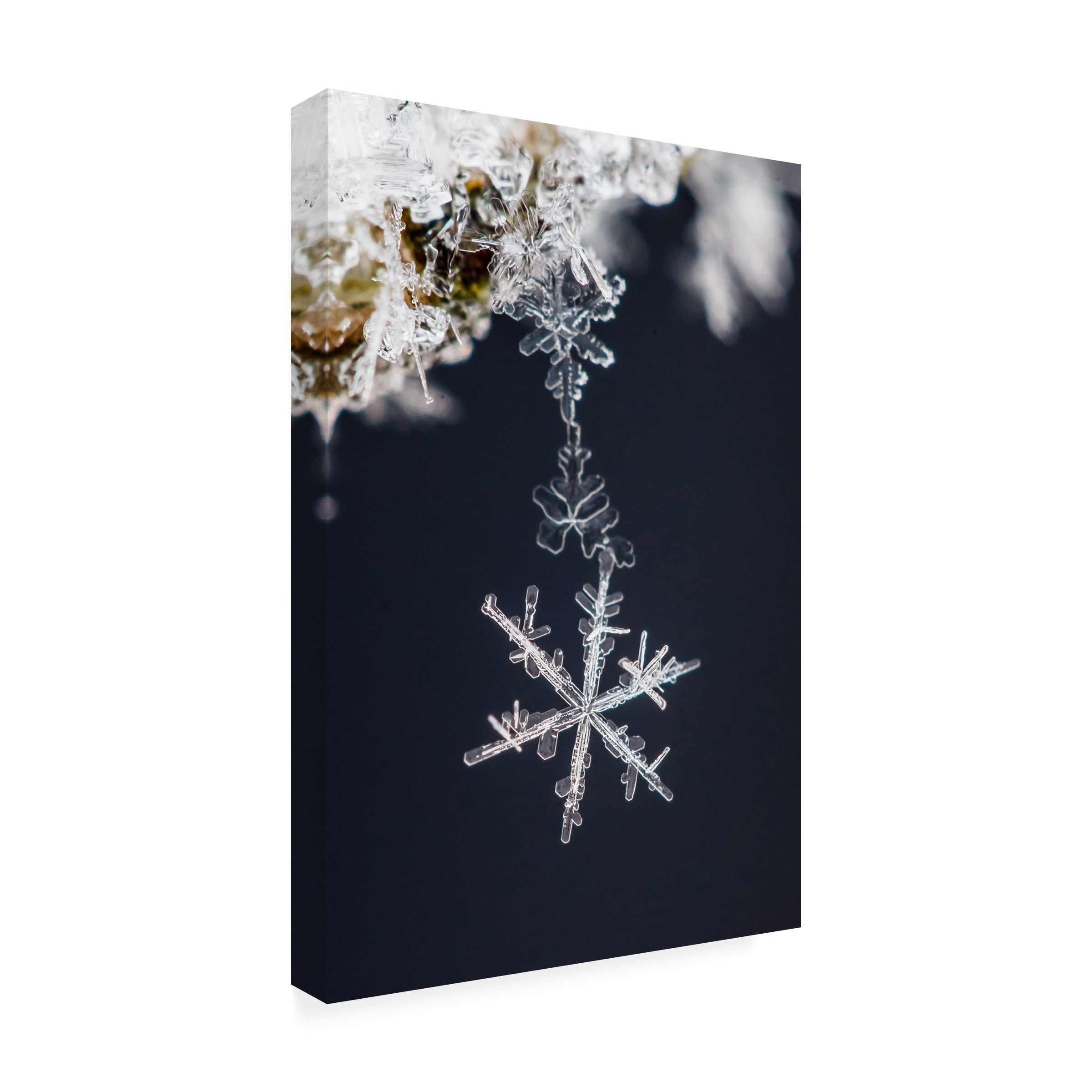 Sami Ritoniemi 'Pendant' Canvas Art
