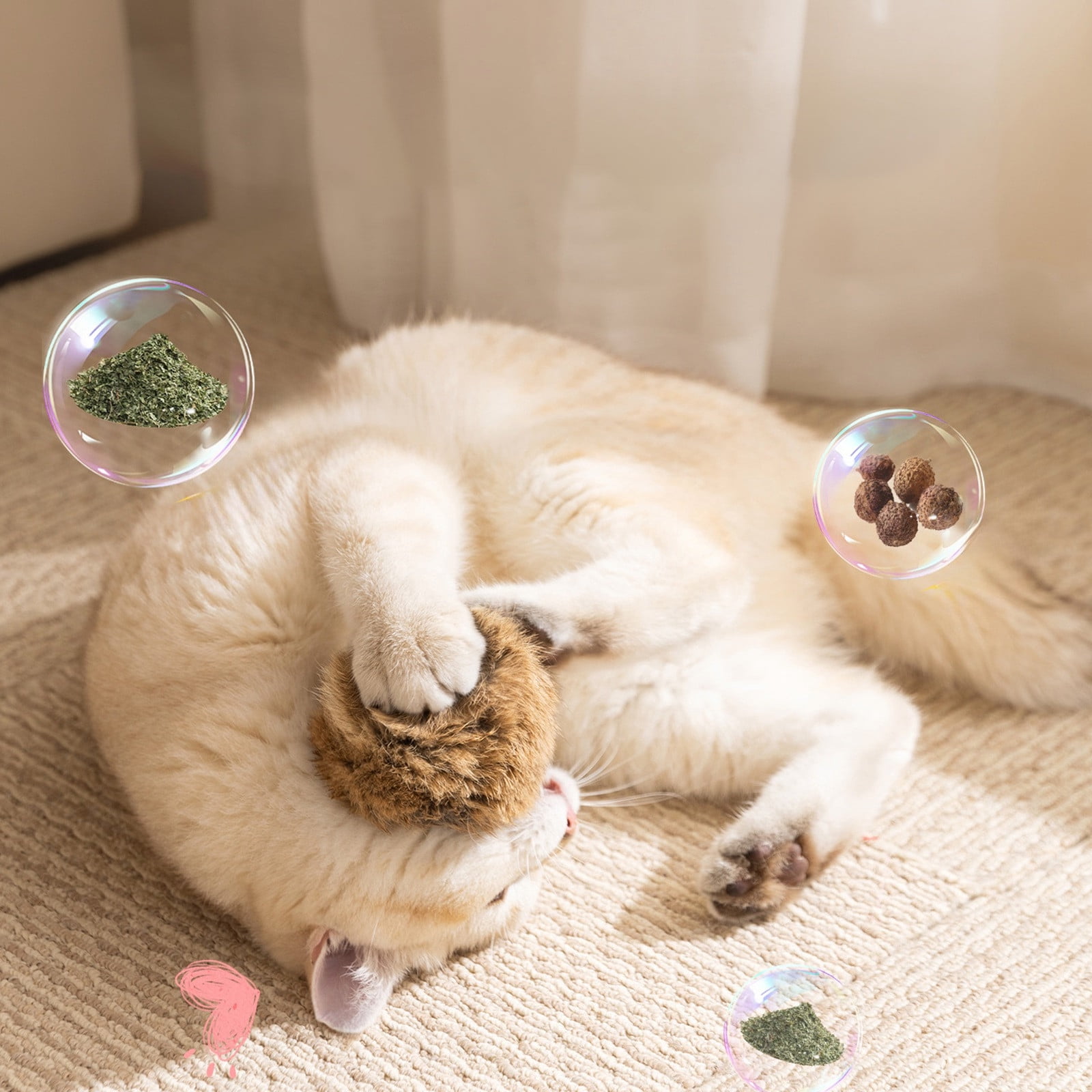 Enrichment Play Teaser Wand for Interactive Engagement and Boredom Busting Pet Toy for Cats and Indoor Use