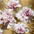 thumbnail image 2 of Sullivan, Shawna 15x15 Gold Ornate Wood Framed with Double Matting Museum Art Print Titled - Peonies on Gold I, 2 of 4