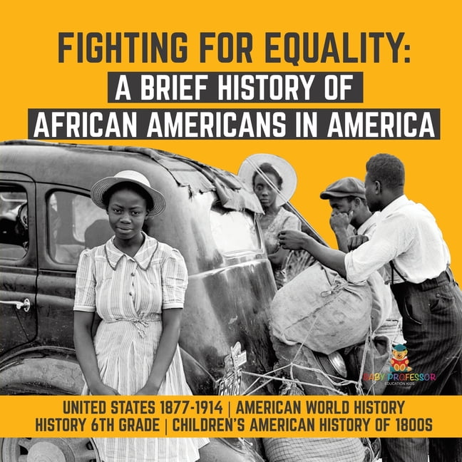 Unveiling The Black American Flag Its Importance In The Fight For Equality - 1lwredi