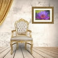 thumbnail image 3 of Williams, Joanne 14x11 Gold Ornate Wood Framed with Double Matting Museum Art Print Titled - FL Green leaf frog inside purple water lily, 3 of 4