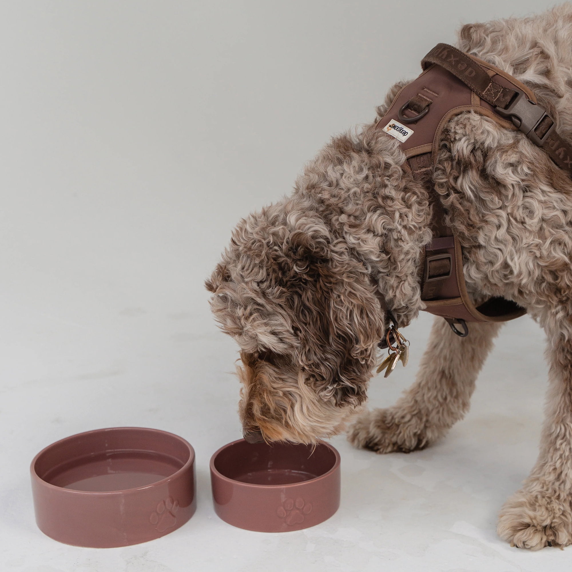 Dexypaws: Ceramic Dog Bowl: Blush Pink - 26oz - Pet Feeding Dish, Meals, Food & Water, Dishwasher Safe, Non-Toxic, Non-Tip Design, Stylish Paw Print