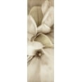 thumbnail image 2 of Blaustein, Alan 11x24 Gold Ornate Wood Framed with Double Matting Museum Art Print Titled - Florison - 70, 2 of 4