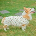 thumbnail image 5 of Guiexla Pet Clothes Cartoon Pattern Pet Jumpsuit Breathable Comfortable Soft Cotton Dog Pullover Pet Supplies, 5 of 7
