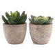 thumbnail image 2 of Juego de 2 plantas suculentas para decoración de balcón o patio Bonsái verde artificial en miniatura, 2 of 8