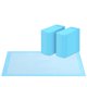 thumbnail image 1 of Almohadilla de entrenamiento FluffyDream superabsorbente e impermeable para perros, color azul, 1 of 7