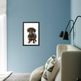 thumbnail image 5 of Smooth Haired Minature Dachsund, Animals Framed Art Print Wall Art Sold by Art.Com, 5 of 5