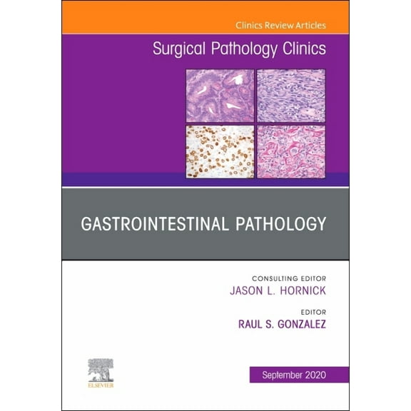 Clinics: Surgery Gastrointestinal Pathology, an Issue of Surgical Pathology Clinics: Volume 13-3, Book 13, (Hardcover)