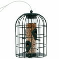 thumbnail image 5 of Weatherproof Stainless Steel Wild Bird Feeder | Durable Green Outdoor Feeder for All Seasons, 5 of 7