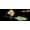 CHART_BACK_PEARL, variant on Jackall Fishing FIRECRACKER 1/2OZ MIDNHT BLK Buzz Baits [JFCRA12-MBLK]