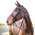 thumbnail image 2 of Horze Vienna Weymouth Dressage Bridle, 2 of 7