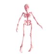 thumbnail image 3 of XGFHYJEH Halloween Decor, Halloween Decorations, Halloween Decorations Indoor, Halloween Decor Indoor, Hallowen Skeleton, 3 of 4