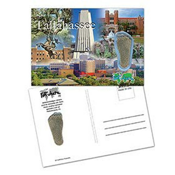 Tallahassee FootWhere Souvenir Postcard (TLH - 400)