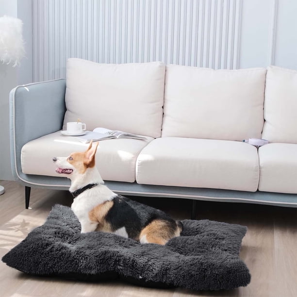 Almacén de Liquidación Cómoda Perrera para Perros Xihbxyly Arena para Mascotas Cama para Dormir de Pv para Gatos
