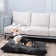 thumbnail image 1 of Almacén de Liquidación Cómoda Perrera para Perros Xihbxyly Arena para Mascotas Cama para Dormir de Pv para Gatos, 1 of 4