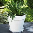 thumbnail image 6 of AYYUFE 20Pcs Reusable Pot Tray Convenient Plastic Rounded Edge Plant Pot Saucer Patio Decor, 6 of 8