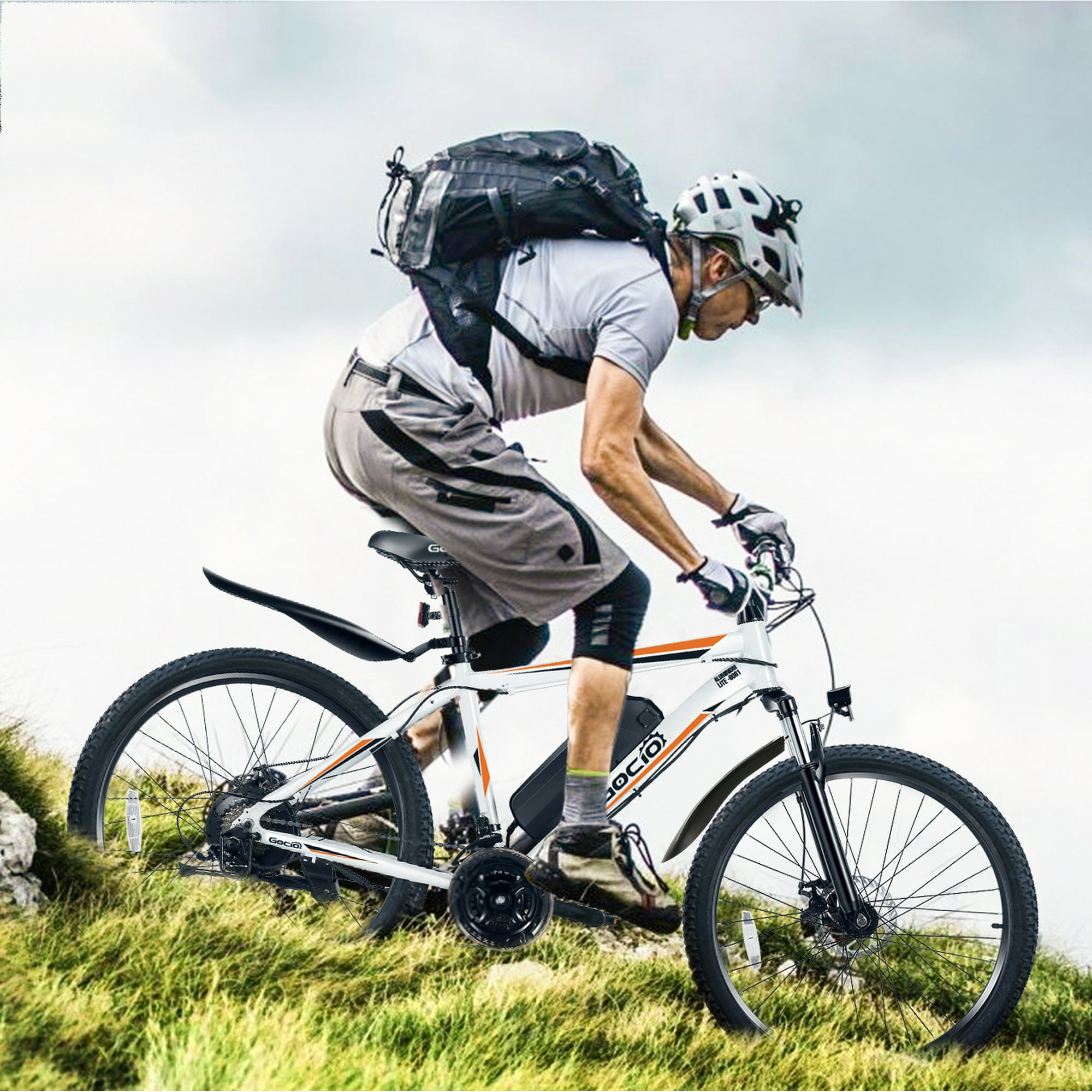 Gocio 500W Electric Bike 26" Electric Bicycle for Adults with Cruise Control System Ebike, Mountain Bike with Removable 48V 375Wh Lithium-Ion Battery, 21 Speed E Bicycle for Man Woman UL2849