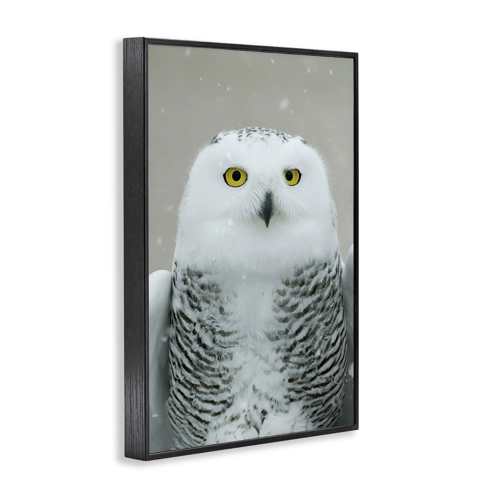 Stupell Industries Snowy Owl Portrait Animals & Insects Photography Black Framed Art Print Wall Art, 16 x 24
