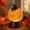 Orange 1pcs, variant on Halloween Glitter Lighted Pumpkin Snow Ball, Halloween Snow Ball Decor with Warm Orange LED Glow, Shimmering Glitter Water Balls, Lighted Fall Thanksgiving Centerpiece for Tabletop Decor